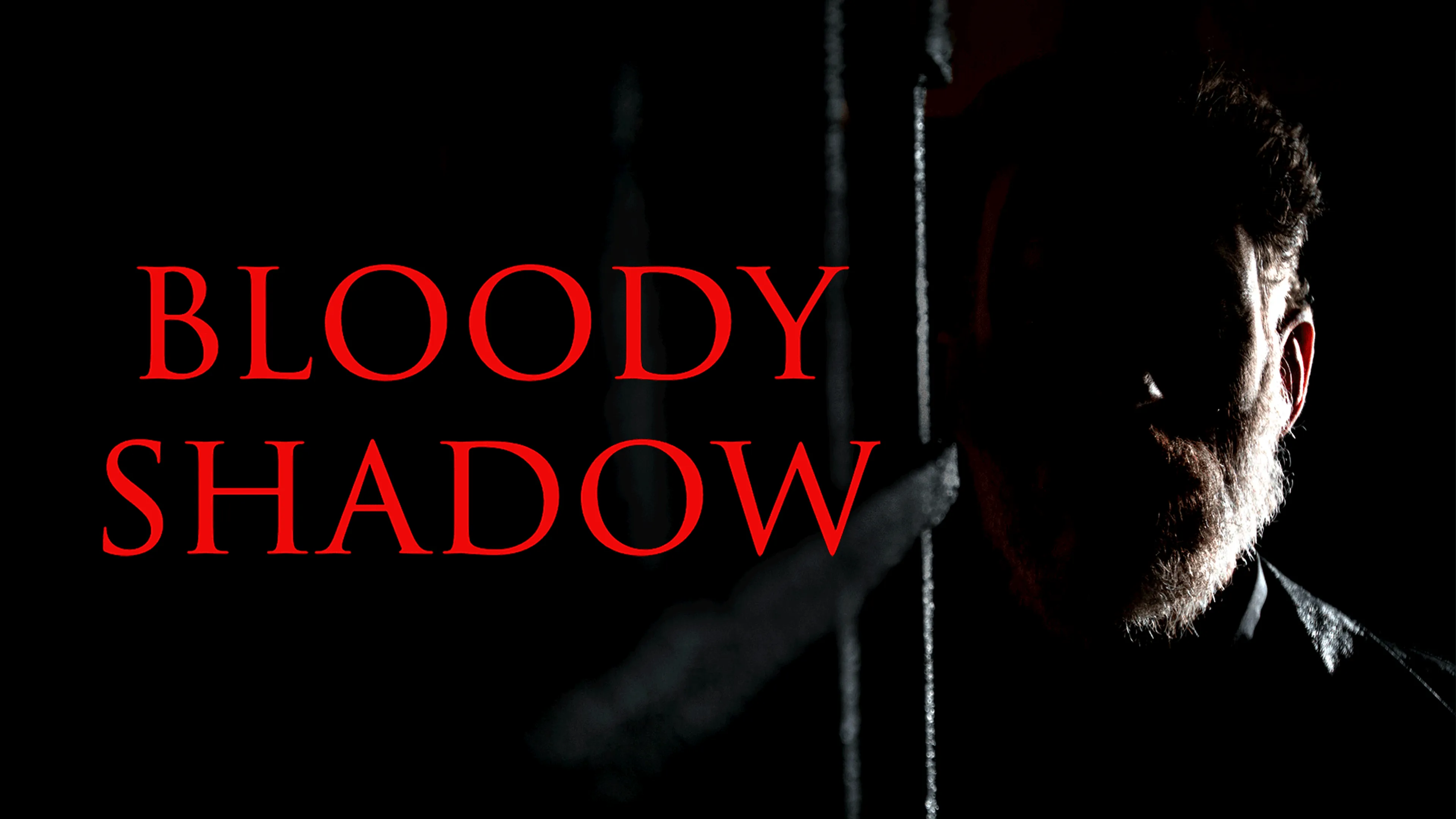 Bloody Shadow poster